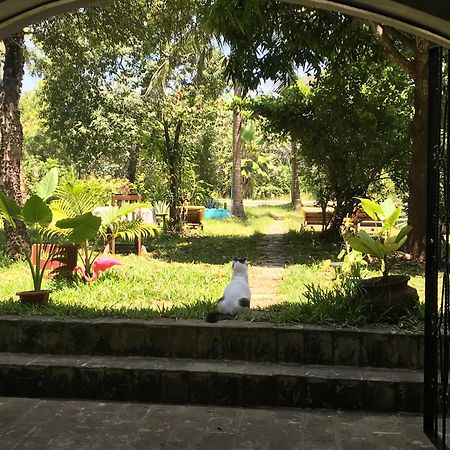 Hotel Footprints House Playa de Diani Exterior foto