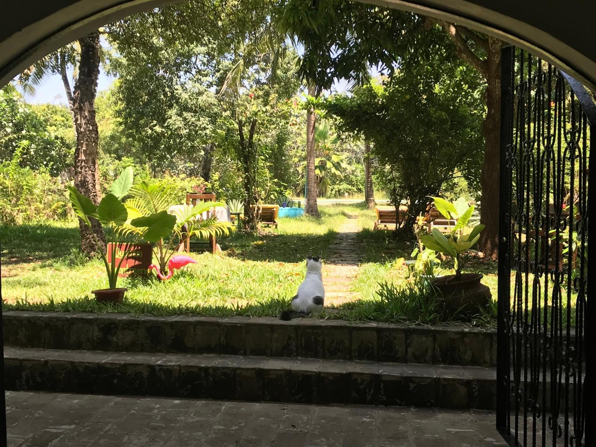 Hotel Footprints House Playa de Diani Exterior foto